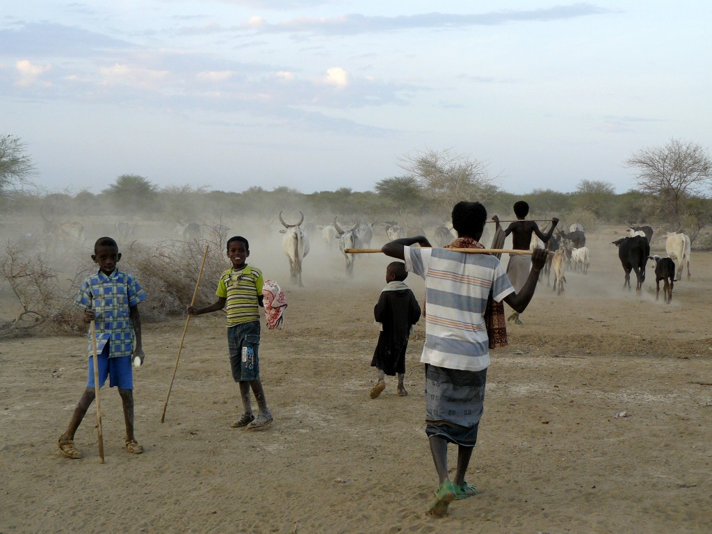 reisverhalen Afar Ethiopie