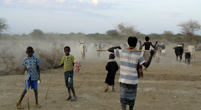 Reisboek Ethiopie Afar