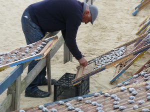vis drogen Portugal reisreportage