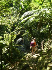 Tocht naar Ciudad Perdida, Colombia